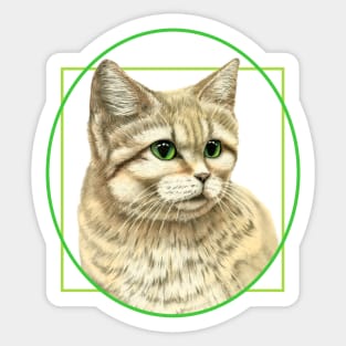 Sand Cat Sticker